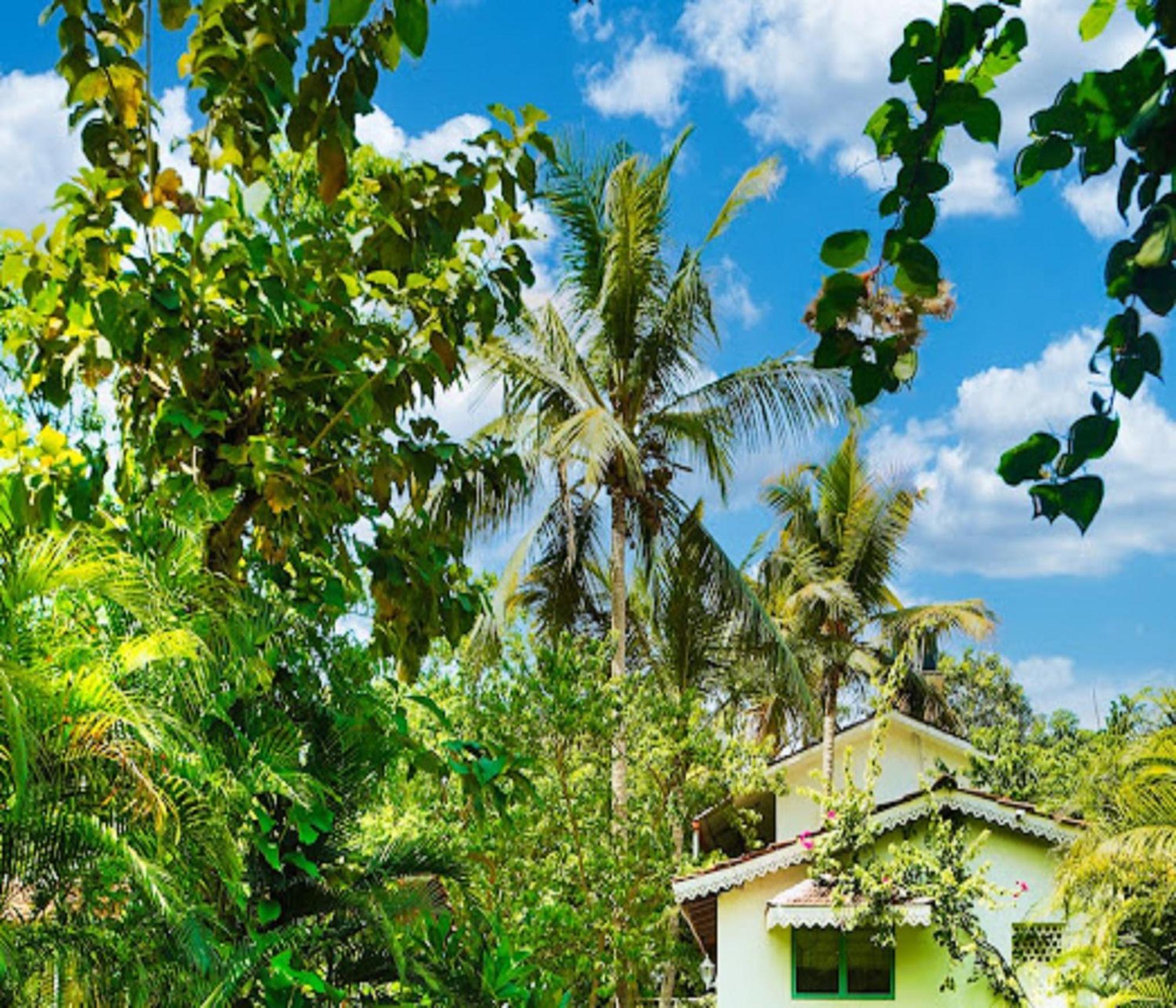 Lar Amorosa Boutique Hotel - Goa Калангут Экстерьер фото